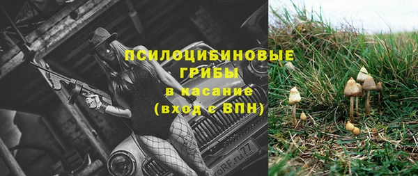 ГАЛЛЮЦИНОГЕННЫЕ ГРИБЫ Абдулино