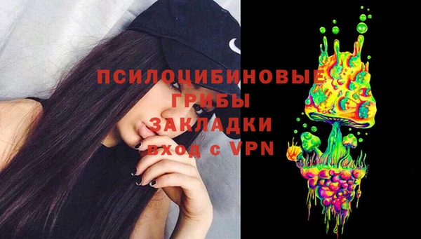 ГАЛЛЮЦИНОГЕННЫЕ ГРИБЫ Абдулино